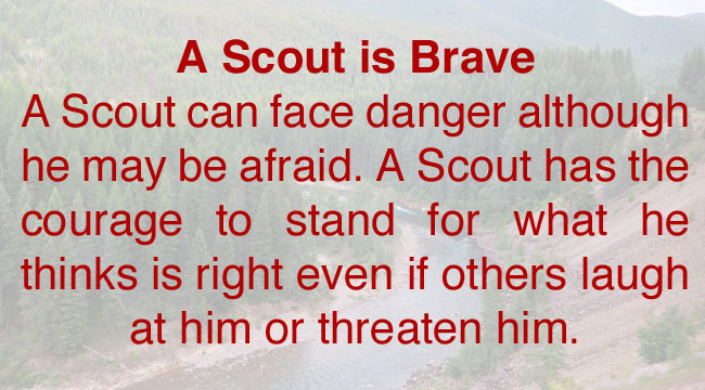 brave-text
